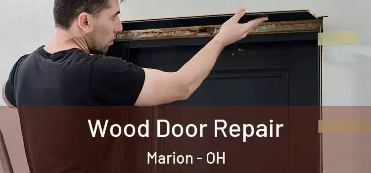 Wood Door Repair Marion - OH